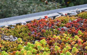 the cost of Dunthrop green roof installation