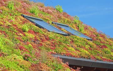 Dunthrop living roof systems