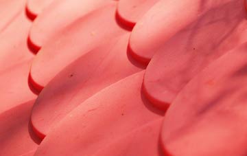 Dunthrop plastic roof costs